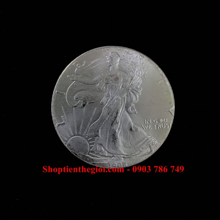 Xu Mỹ - USA 1 Dollar Liberty 1906 (FAKE) - SP005318